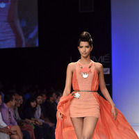 Lakme Fashion Week 2011 Day 4 Pictures | Picture 62884